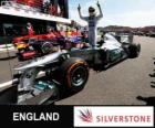 Nico Rosberg 2013 İngiltere Grand Prix yaptığı zafer kutluyor